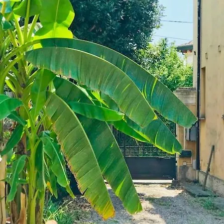 Ξενοδοχείο Martello 2*